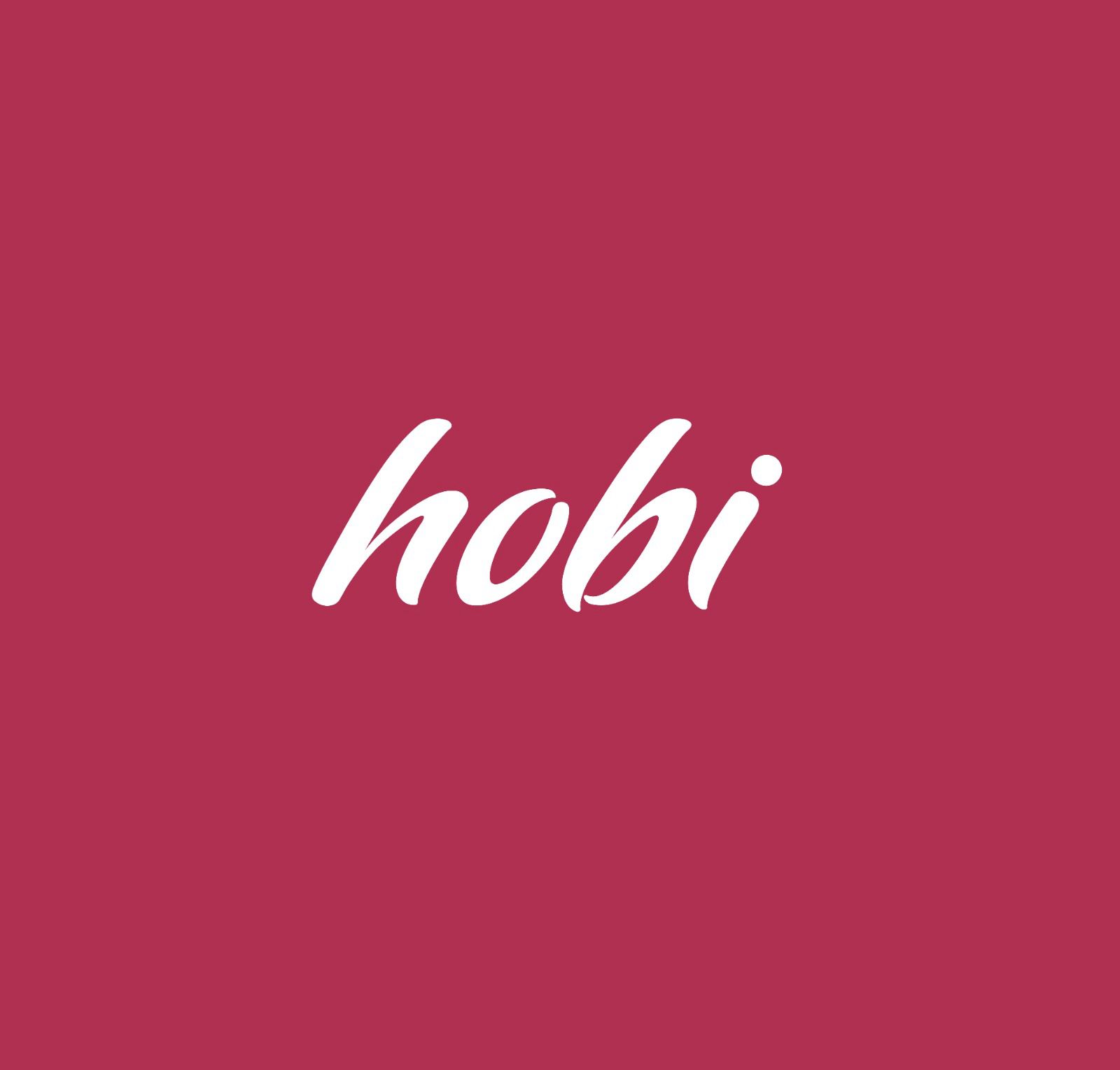 Hobi Hub