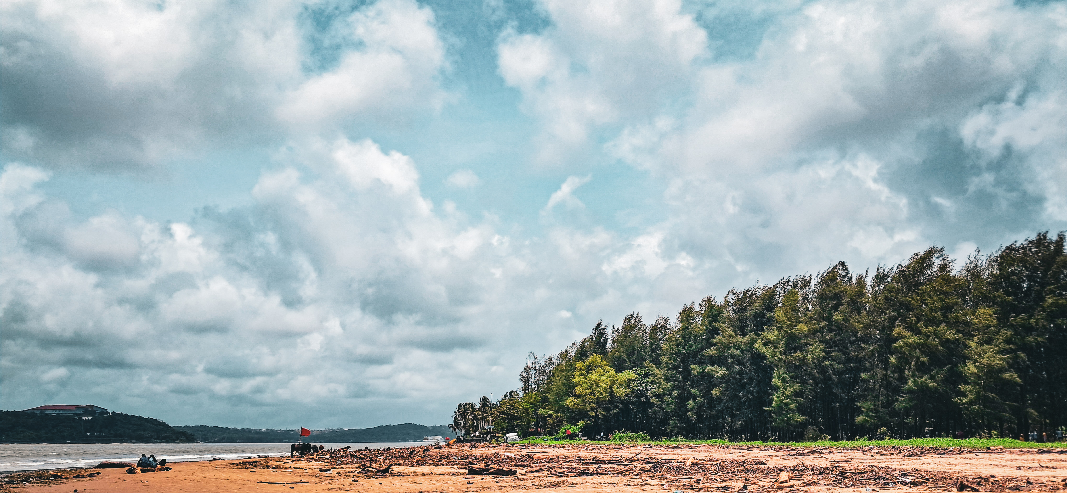 An image from Goa, India